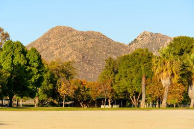 Güneşli dağlar çeşitli yeşil ve sonbahar ağaçlarının arkasında yükseliyor, parlak, berrak mavi gökyüzünün altında geniş kumlu bir bölge sınırında..