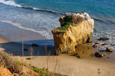 Karabataklarla süslenmiş dramatik kumtaşı yığını, El Matador State Beach, Malibu 'nun altın kumlarına hükmediyor, Pasifik dalgaları hafifçe kırılıyor..