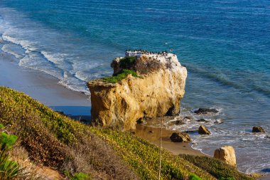 Karabataklarla dolu deniz yığını Malibu 'daki El Matador Eyalet Sahili' nin kumlu kıyıları yakınlarındaki mavi Pasifik Okyanusu 'ndan yükseliyor..