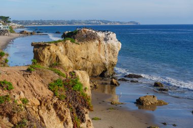Deniz kuşları El Matador Eyalet Sahili 'ne hakim. Dalgalar kumlu kıyıları nazikçe silip süpürüyor. Uzak kıyı evleri tarafından çerçeveleniyor..