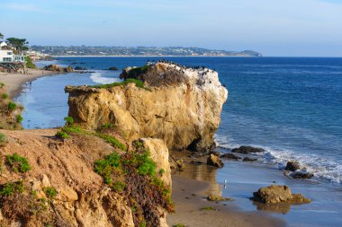Pasifik Okyanusu boyunca uzanan ikonik El Matador Eyalet Plajı 'nda deniz kuşları, kumlu bir sahil şeridi ve uzak Malibu evleriyle taçlandırılmış engebeli deniz yığınları bulunur..
