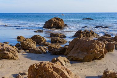 Altın güneş ışığı, El Matador Eyalet Sahili 'nin kumlu kıyılarına dağılmış desenli kahverengi kayaları yıkıyor. Sakin mavi okyanus dalgaları yavaşça kumu öpüyor..