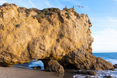 Çarpıcı altın kaya kemeri, El Matador Eyalet Sahili 'ni tanımlar. Kumlu tabanı, parlak mavi gökyüzünün altında hafif okyanus dalgalarıyla karşılanır. Kuşlar havada süzülür..