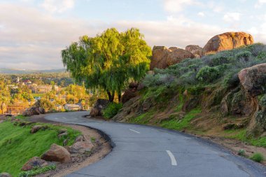 Sarmal asfalt yolu, gür yeşil bir yamaçtan yükselen kayalar ve canlı ağlayan bir ağaç. Şehir merkezi Riverside, California şehir manzarası aşağılara doğru yayılıyor.