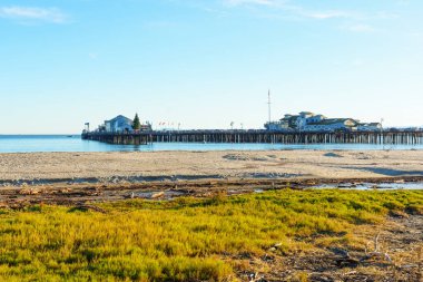 Ön planda canlı yeşil ve kahverengi bitkilerle kıyı bataklığı boyunca güneş ışığı manzarası. Uzakta, Stearns Wharf 'ın uzun iskelesi sakin mavi okyanusa uzanıyor..