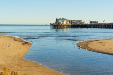Santa Barbara, California - 29 Aralık 2025 Plajdan Stearns Rıhtımı 'nın temiz görüntüsü, haliç ağzı ve mavi gökyüzünün altında duran birkaç martıyı vurguluyor..