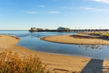 Santa Barbara, Kaliforniya - 29 Aralık 2025: Santa Barbara 'da Stearns Wharf, kumlu bir sahil ve sayısız sahil kuşunun bulunduğu kıyı sahili.
