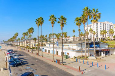Okyanus Kenarı, Kaliforniya - 17 Aralık 2025: Geniş kumsala uzanan palmiyeli bir yol, park edilmiş arabalar ve canlı dükkanlar ve binaların yer aldığı canlı okyanus kıyısı sahnesi.
