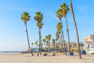 Okyanus Kenarı, Kaliforniya - 17 Aralık 2025: Okyanus kıyısındaki yüksek palmiye ağaçlarının piknik masalarının üzerinde sallandığı, büyüleyici sahil binaları ve sakin okyanus manzarası.