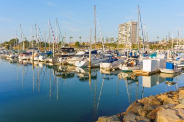 Okyanus Kenarı, Kaliforniya - 17 Aralık 2025 Oceanside Limanı 'nda huzurlu bir sabah, şehrin modern kıyı şeridiyle birlikte sakin sulara nazikçe yansıyan çok sayıda yelkenli ve yat sergileniyor..