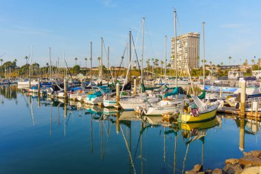 Okyanus Kenarı, Kaliforniya - 17 Aralık 2025: Okyanus Kıyısı manzarası, sakin sularda bir dizi renkli yat ve yelkenli parlıyor, şehrin etkileyici kıyı mimarisi.