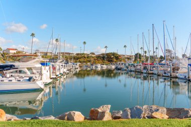 Okyanus Kenarı, Kaliforniya - 28 Aralık 2025: Okyanus kıyısında kayalar ve yeşil çimlerle çevrili sayısız yat ve yelkenli teknesi ile huzurlu bir manzara.