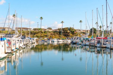 Okyanus Kenarı, Kaliforniya - 28 Aralık 2025: Okyanus Kıyısı 'nın geniş bir görüntüsü, pek çok tekne ve yatın berrak mavi gökyüzü altında yansıması, uzak evlerle birlikte.