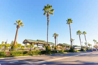 Perris, California - 6 Aralık 2025: Yeşil çatı sığınakları, yüksek palmiye ağaçları ve Riverside County 'de güneşli bir günde açık mavi gökyüzünün yer aldığı Perris Transit Merkezi.