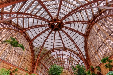 Balboa Park, San Diego, California 'daki Botanik Binası' nın karmaşık ahşap kaplama mimarisi, yüksek kubbeli bir tavan ve yemyeşil bir tropikal yeşillik barındırıyor..