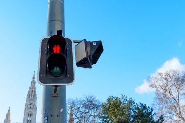 Viyana, Avusturya - 24 Şubat 2026: Viyana 'da, arka planda belediye kulesi olan Rathausplatz' da kırmızı eşcinsel çift sinyali bulunan özel yaya trafik ışığı.