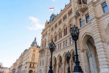 Viyana, Avusturya - 24 Şubat 2026: Rathaus 'un Viyana' daki Neo-Gotik cephesinde gün boyunca açık mavi gökyüzüne karşı süslü sokak lambaları ve Avusturya bayrağı.