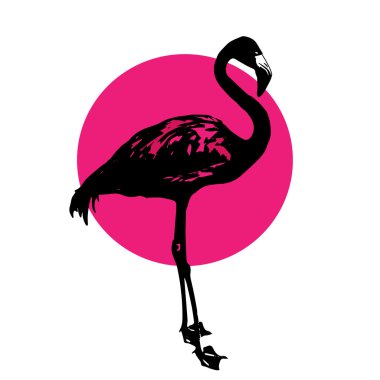 bir flamingo silüeti