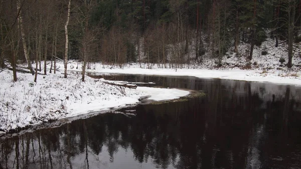 Superbe Vue Sur Forêt Par Une Journée Hiver Fraîche Enneigée — Photo