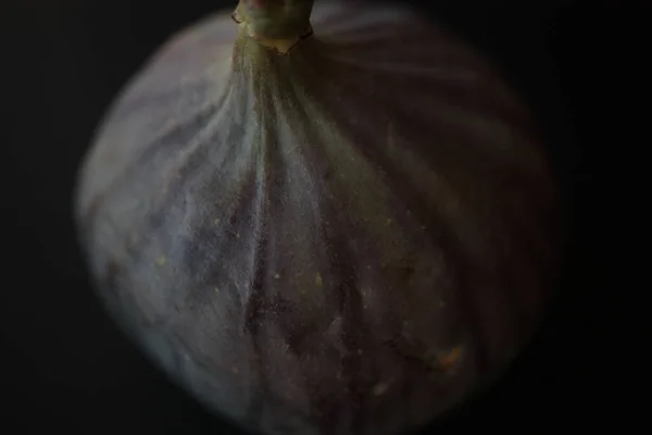 Κοντινό Πλάνο Ώριμου Φρούτου Σύκου Ficus Carica Σκούρο Φόντο — Φωτογραφία Αρχείου