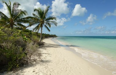 Küba'da tropikal plaj