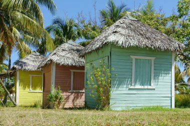 Renkli tropikal kulübeleri