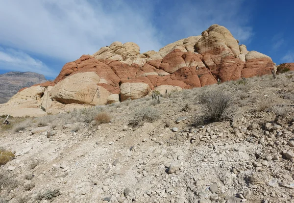 Manzara Red Rock Canyon State Park, Nevada, ABD