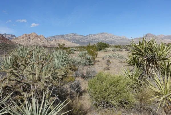 Paisajes del Parque Estatal Red Rock Canyon, Nevada, Estados Unidos — Foto de Stock