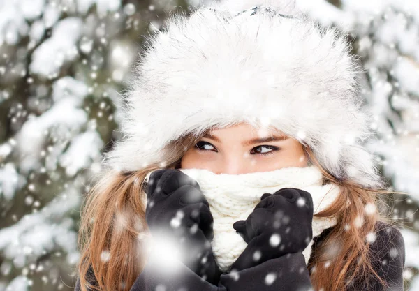 Portrait in snowy weather Stock Image