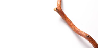 Çevre afişi. Beyaz arkaplanda çam dalları.