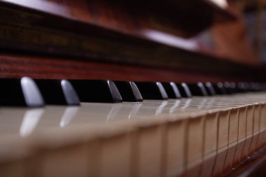 Siyah, beyaz piyano tuşlarını kapat.