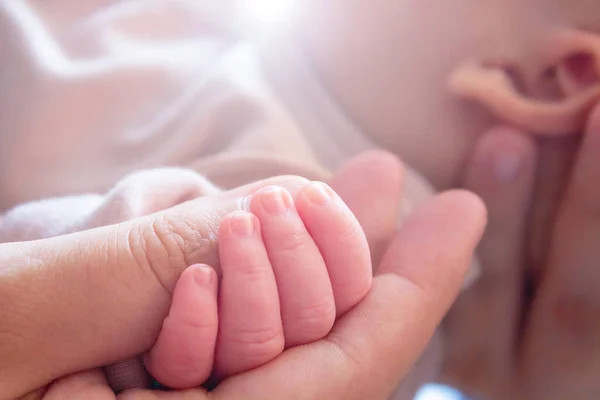 Pequeña mano de bebé en la mano de las madres. Primer plano. Imagen De Stock