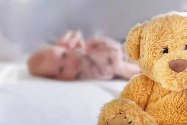 Abandoned newborn children. Teddy bear close up. — Stock Photo, Image