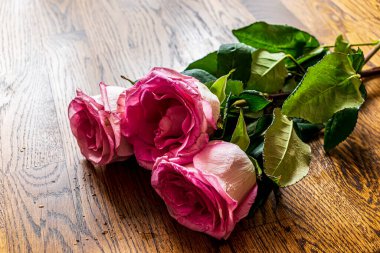 Tiny flowers of pink rose on the wooden table