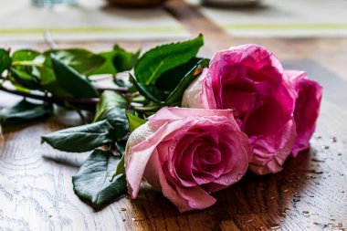 Tiny flowers of pink rose on the wooden table