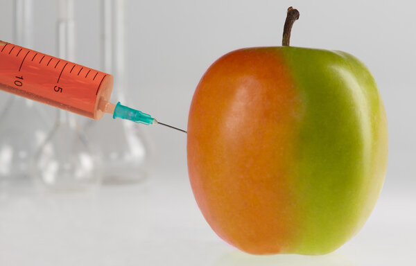 genetically modified foods