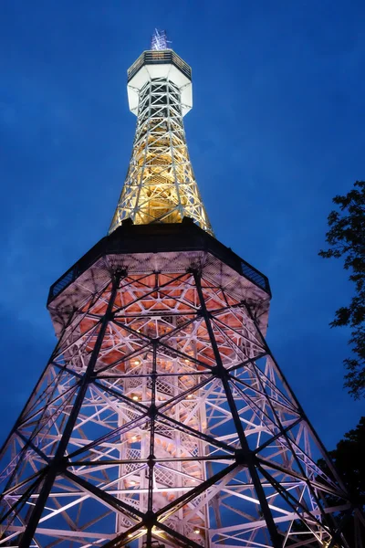 PRAGA, REPÚBLICA CHECA - 18 DE MAYO DE 2016: Petrin Lookout Tower, vista nocturna — Foto de Stock
