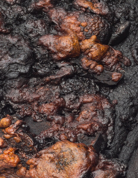 texture of burnt food