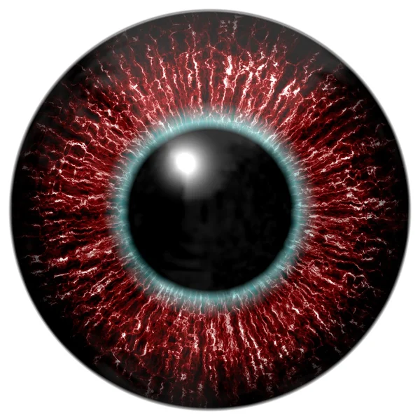 Red sanguinoso alieno o occhio di uccello con cerchio blu intorno alla pupilla — Foto Stock