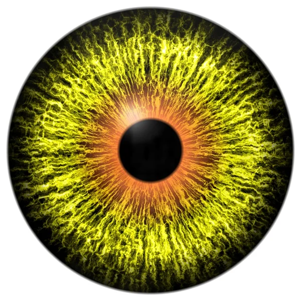 Olho alienígena amarelo com anel laranja ao redor da pupila — Fotografia de Stock
