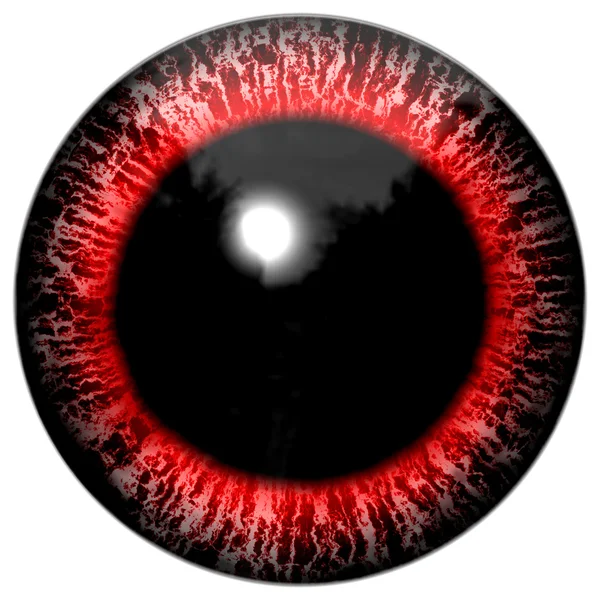 Röda blodiga alien eller fågel ögon — Stockfoto
