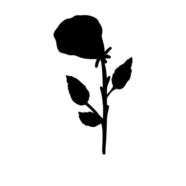 İzole edilmiş basit el çizilmiş siyah çiçek elemanları. Vektör çizimi. Yazdır.