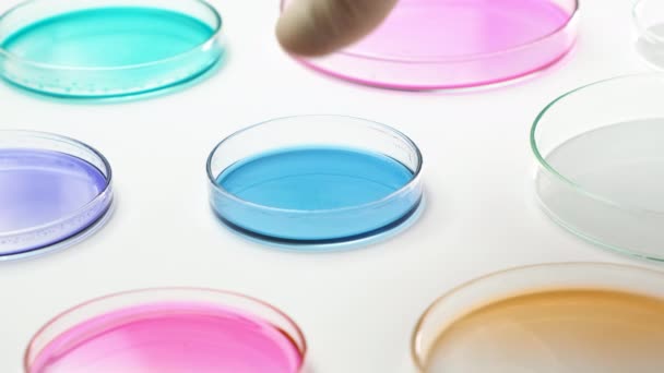 Químico em luvas de borracha leva amostras azuis em placa de Petri com mídia colorida. — Vídeo de Stock