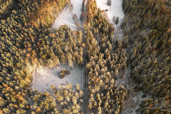 Top view on the empty road in the forest in snow in winter at sunlight. — Stock Photo, Image