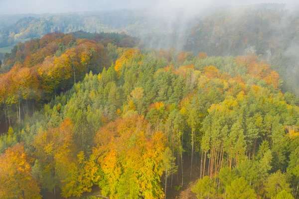 Renkli sonbaharda hava manzarası ya da sonbahar köknar veya bulutlarla kaplı yaprak ormanı — Stok fotoğraf