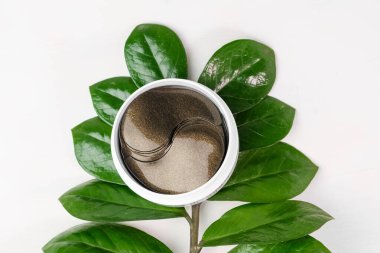 Kozmetik hidrojel göz bantları ve yeşil dallı beyaz arka planda fotokopi alanı olan yapraklar. Cilt bakımı ve kozmetoloji konsepti. Kırışıklık önleyici kolajen maskesi kaldırılıyor.