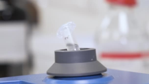Agitare i campioni nel tubo eppendorf usando vortice. Sviluppo di farmaci e prodotti farmaceutici. Analisi del DNA — Video Stock