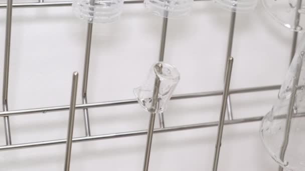 Washing of laboratory glassware and its drying. Clean beakers. — Stock Video