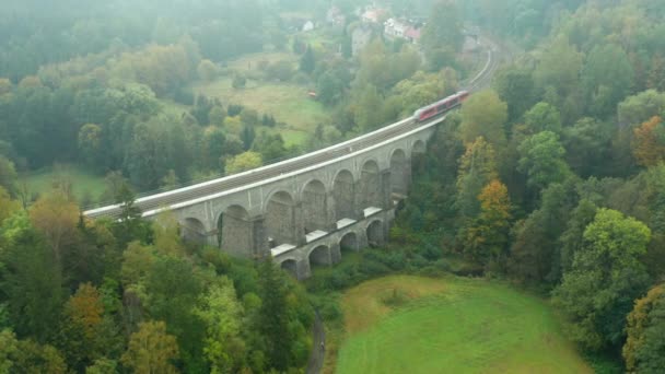 Blick von oben auf den Zug, der sich auf der von Bäumen umgebenen Bogenbrücke bewegt. — Stockvideo