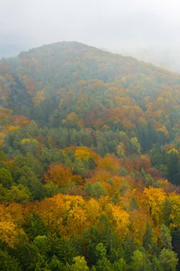 Bulutlardaki renkli sonbahar ormanı. Hava görünümü.